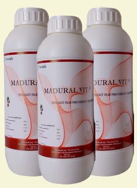 MADURAL VIT